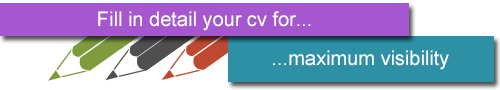 Fill in detail your cv